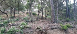 Terreno en venta en La Floresta - Les Planes en Sant Cugat del Vallès