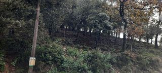 Terreno en venta en La Floresta - Les Planes en Sant Cugat del Vallès