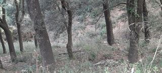 Terreno en venta en La Floresta - Les Planes en Sant Cugat del Vallès