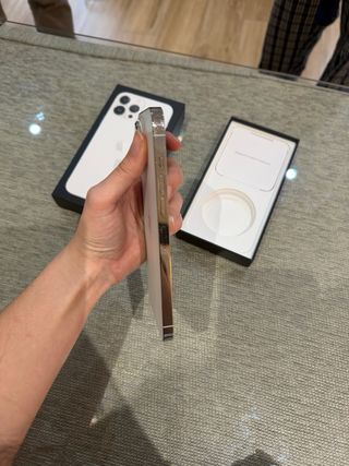 iPhone 13 Pro Max Plata