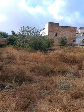 Terreno en venta en Monteolivete-Camino Sevilla en Sanlúcar de Barrameda