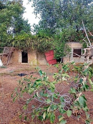 Terreno en venta en Monteolivete-Camino Sevilla en Sanlúcar de Barrameda