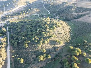 Solar en venta en Arcos de la Frontera