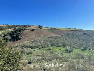 Solar en venta en Arcos de la Frontera