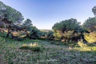 Solar en venta en Arcos de la Frontera