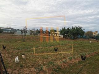 Terreno en venta en La Jara en Sanlúcar de Barrameda