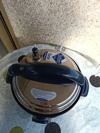 Olla Express Programable Eléctrica 6L 1000W