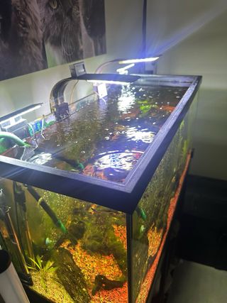 Acuario 100L completo