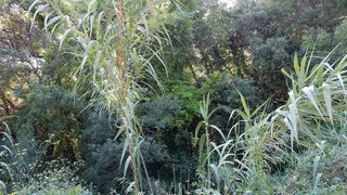 Terreno en venta en Castellnou - Can Mir - Sant Muç en Rubí