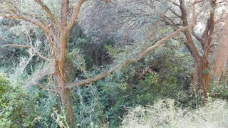 Terreno en venta en Castellnou - Can Mir - Sant Muç en Rubí