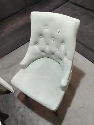 Sillas Westwing Terciopelo gris y Plata