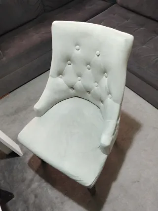 Sillas Westwing Terciopelo gris y Plata