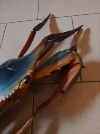 Granchio decorativo in legno