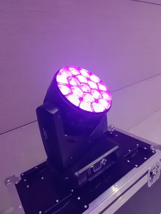 4 Cabezas Móviles Big Bee Eye