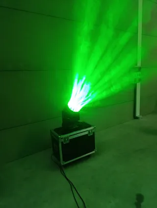 4 Cabezas Móviles Big Bee Eye