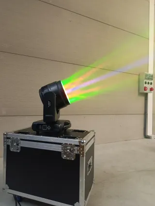 4 Cabezas Móviles Big Bee Eye