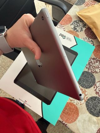 Apple iPad Plata nuevo 6 segunda generacion