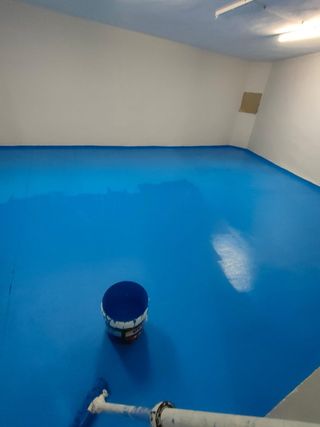 Pintores Profesionales