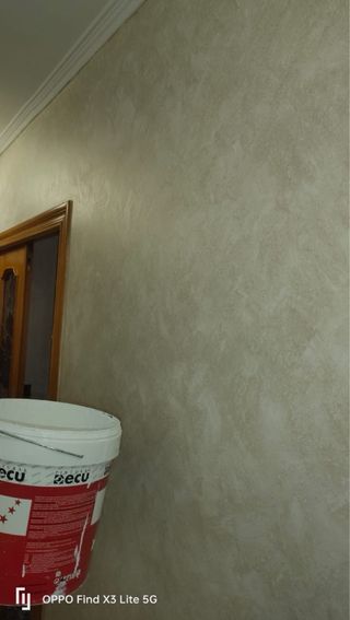 Pintores Profesionales