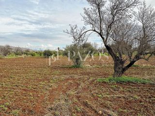 Terreno en venta en Pinos de Alhaurín - Periferia en Alhaurín de la Torre