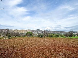 Terreno en venta en Pinos de Alhaurín - Periferia en Alhaurín de la Torre
