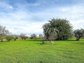 Terreno en venta en Pinos de Alhaurín - Periferia en Alhaurín de la Torre