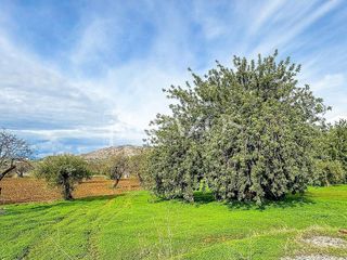 Terreno en venta en Pinos de Alhaurín - Periferia en Alhaurín de la Torre