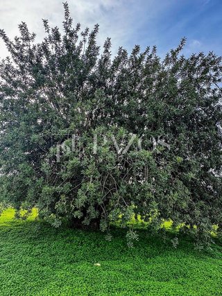 Terreno en venta en Pinos de Alhaurín - Periferia en Alhaurín de la Torre