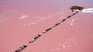 Casa pareada en venta en La Siesta - El Salado - Torreta en Torrevieja