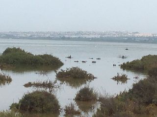 Casa pareada en venta en La Siesta - El Salado - Torreta en Torrevieja