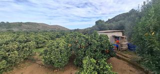 Terreno en venta en Riba-roja de Túria