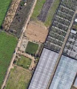 Terreno en venta en La Jara en Sanlúcar de Barrameda