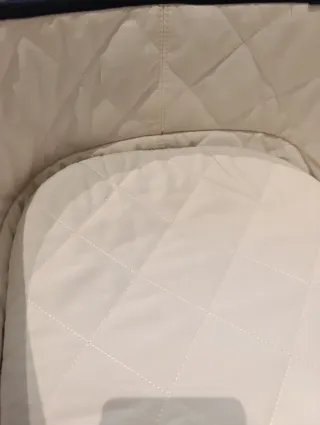 Capazo+accesorios Bugaboo Bee 5