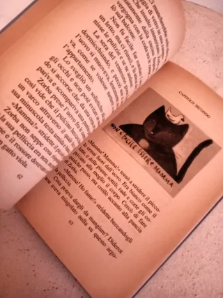 Storia di una gabbianella e del gatto che le in...