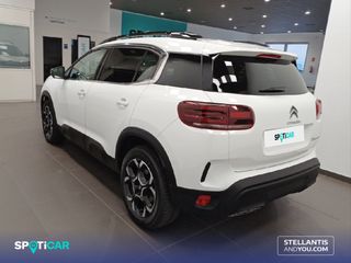 Citroen C5 Aircross 2024