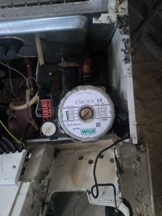 Bomba de caldera Wilo