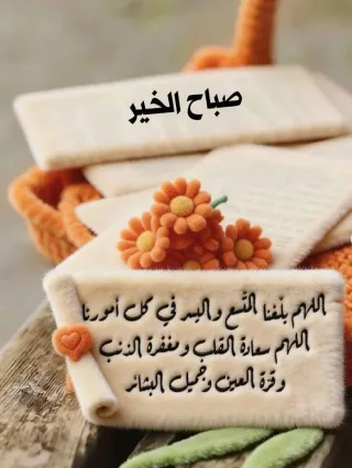 Armario Blanco y Marrón