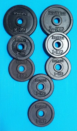 2x 2kg + 6x 1kg dischi palestra foro 28mm