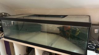 Terrario Tortuguera Negro Transparente