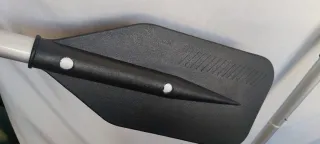 Remos Hart the guardian