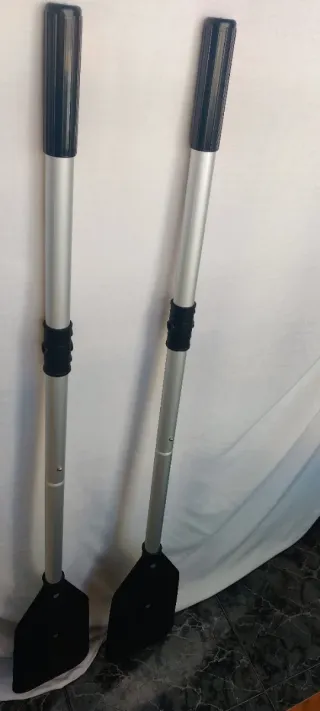 Remos Hart the guardian