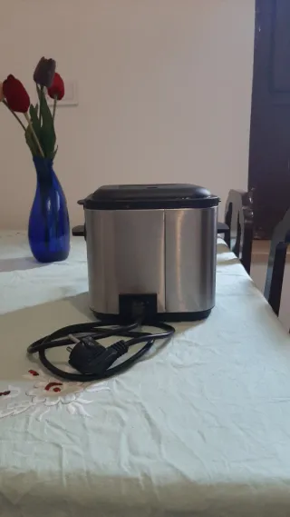Freidora Tefal