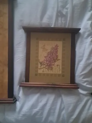 Cuadros Botánicos de Plantas (Set de 6)