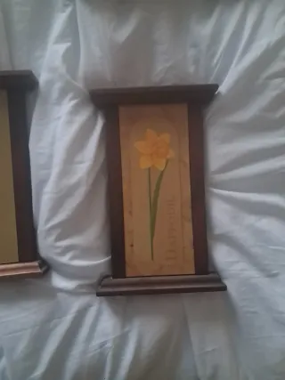 Cuadros Botánicos de Plantas (Set de 6)