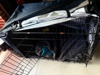 Jaula Transportin Negra mediana / grande
