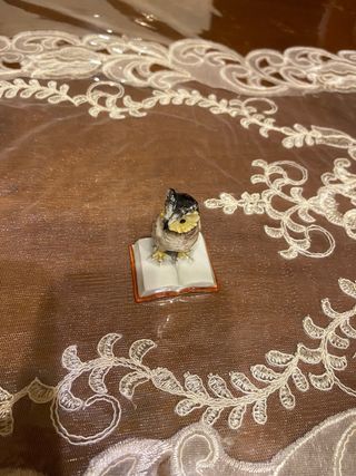 Cacciapuoti gufo su libro ceramica