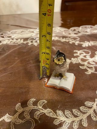 Cacciapuoti gufo su libro ceramica