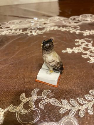 Cacciapuoti gufo su libro ceramica