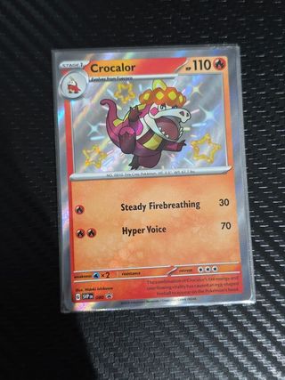 Pack 9 Cartas Pokémon Shiny Promo