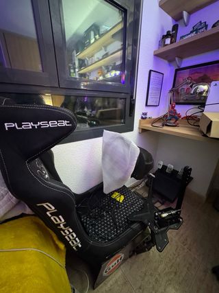 Simulador de Carreras PC/Playstation